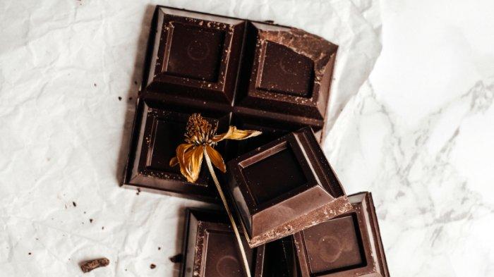 Manfaat Cokelat Hitam Untuk Aliran Darah Mendukung Kesehatan Sirkulasi Optimal
