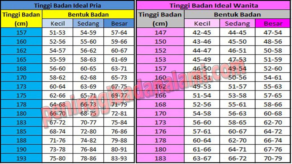 Menyelami Hubungan Erat Antara Berat Badan Ideal Dan Kerja Jantung Kunci Kesehatan Kardiovaskular Optimal