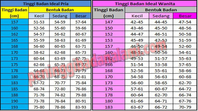 Menyelami Hubungan Erat Antara Berat Badan Ideal Dan Kerja Jantung Kunci Kesehatan Kardiovaskular Optimal
