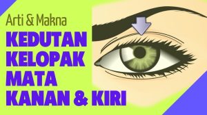Kenapa Kelopak Mata Berkedut Terus Menerus