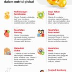 Pentingnya Menjaga Kesehatan Kulit Dan Penanganan Bekas Luka
